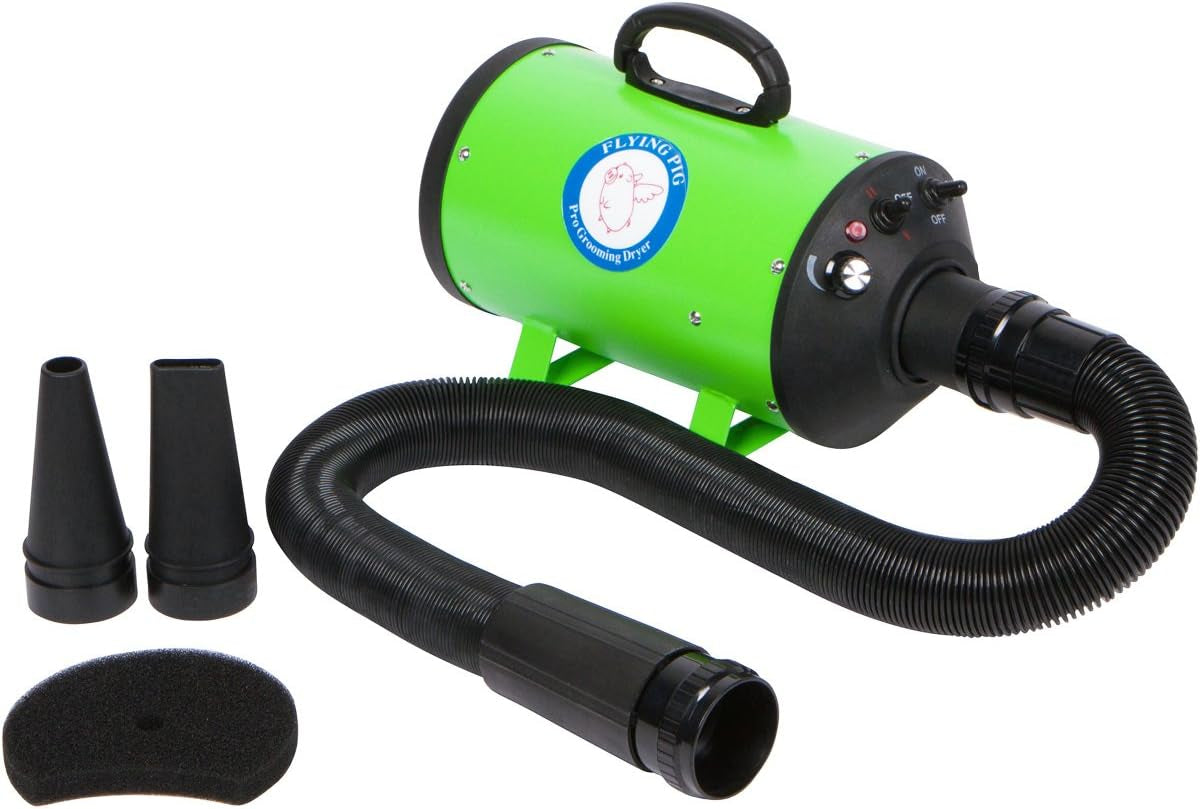 High Velocity Dog Grooming Dryer with Heater - Model: Flying One (Green)