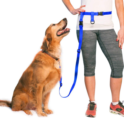 Adjustable Hands-Free Dog Leash for Running, Jogging, and Training - Suitable for Small, Medium, and Large Dogs - Made in the USA (Royal Blue, Large Belt - 27"-50" Waist)