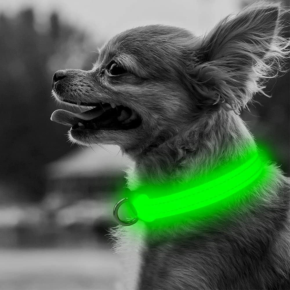 Adjustable Rechargeable LED Safety Collar for Small Dogs and Cats - Green, 8.5-11.8 Inches, Nylon, Lightweight, Reflective with Two Flash Modes for Night Walks