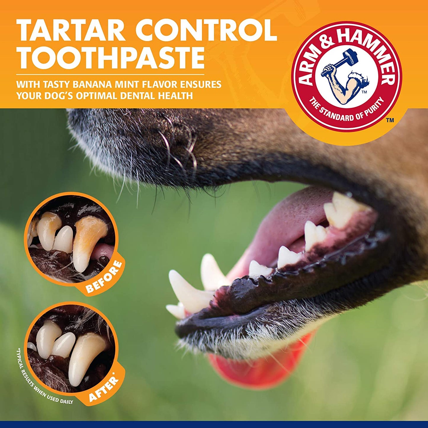 Tartar Control Dog Dental Care Kit - Banana Mint Flavor Toothpaste with Baking Soda, Double-Sided Toothbrush and Finger Brush, 2.5 oz, 3-Piece Set