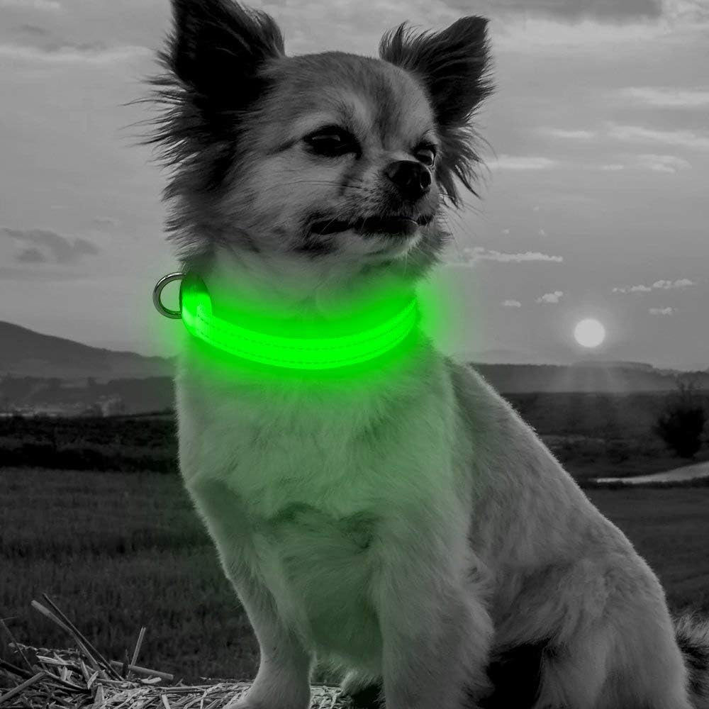 Adjustable Rechargeable LED Safety Collar for Small Dogs and Cats - Green, 8.5-11.8 Inches, Nylon, Lightweight, Reflective with Two Flash Modes for Night Walks
